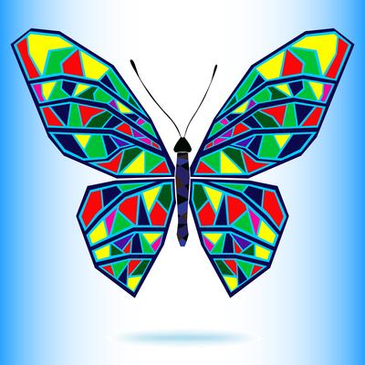 Butterfly7