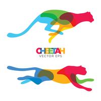Creative Cheetah Animal Design, Vector eps 10