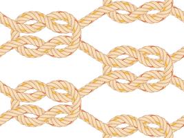 Seamless pattern with rope bending. vector