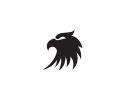 Águila cabeza pájaro logo y símbolo vector