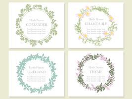 Set of four assorted frames with various herbs coriander, chamomile, oregano, and thyme. vector
