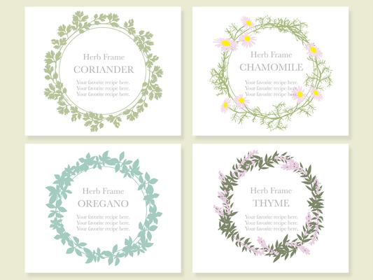 Set of four assorted frames with various herbs: coriander, chamomile, oregano, and thyme. 