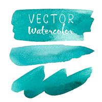 Set of watercolor brush on white background. Vector illustration	