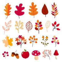 Autumn elements collection vector