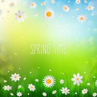 Spring background with white flowers in the grass. vector