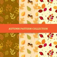 Hand draw autumn patterns vector