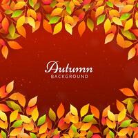 Autumn background with leaves vector