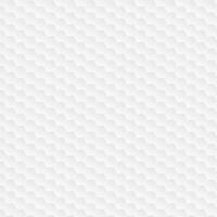 Hexagonal white pattern vector