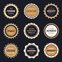 Retro vintage badges set vector