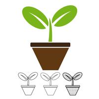 Plant icon vector