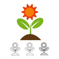 Plant icon vector