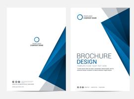 Brochure Layout template, cover design background vector