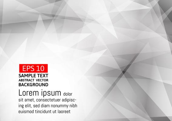 Gray and white color polygon abstract background, Vector illustration eps10