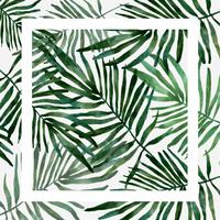 hand drawn watercolor Tropical leaf vector