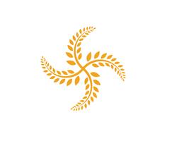 Agriculture wheat Logo Template,healthy life logo vector icon design