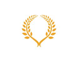 Plantilla de logotipo de trigo de agricultura, diseño de icono de vector de vida saludable logo