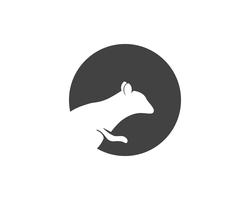squirrel logo and symbols vector