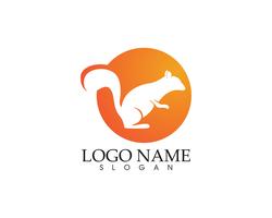 squirrel logo and symbols vector