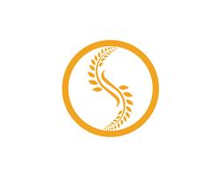 Agriculture wheat Logo Template,healthy life logo vector icon design