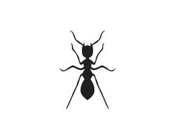 Ant Logo template vector illustration design