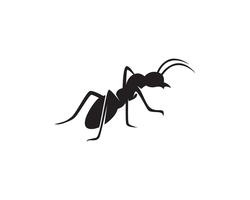 Diseño del ejemplo del vector de la plantilla del logotipo de la hormiga