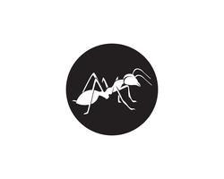 Diseño del ejemplo del vector de la plantilla del logotipo de la hormiga