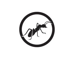 Ant Logo template vector illustration design