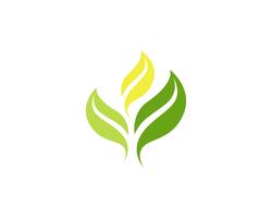 Hoja verde naturaleza logotipo y símbolo plantilla Vector ...