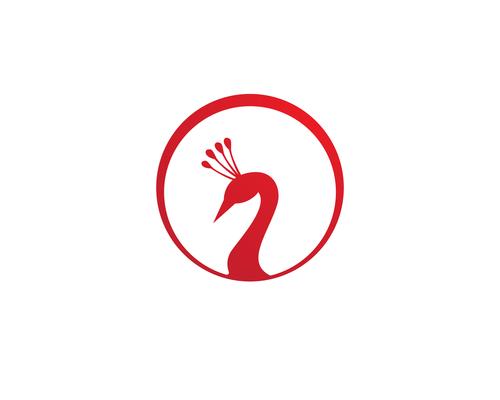 peacock head logo and symbols template icon app