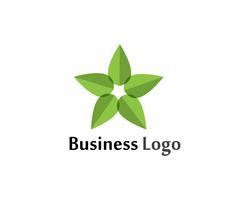 Star leaf  green nature logo and symbol template Vector 