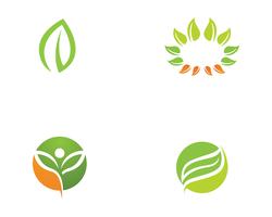 Logotipos de ecología de hoja de árbol verde. vector