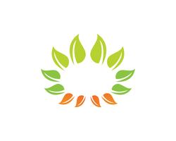 Logotipos de ecología de hoja de árbol verde. vector