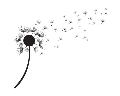 Download Dandelion Blowing Icons 6 Free Dandelion Blowing Icons Download Png Svg