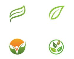 Logos of green Tree leaf ecology vector