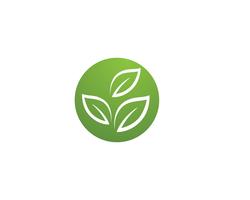 Logotipos de vector de elemento de naturaleza de hoja verde ecología