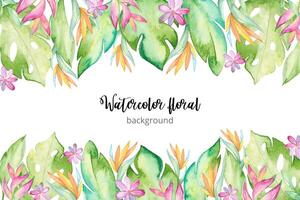 Watercolor tropical background vector