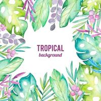 Watercolor tropical background vector