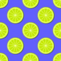 Slices Lime Summer Background vector