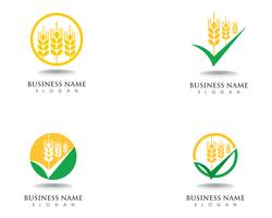 wheat Logo and symbols Template vector icon design