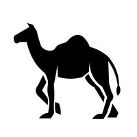 Dromedary Icon Vector