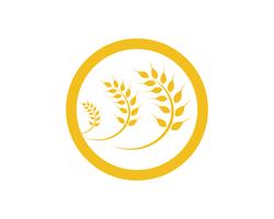 Agriculture wheat Logo Template vector icon design