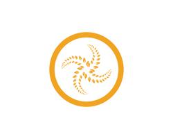 Agriculture wheat Logo Template vector icon design app