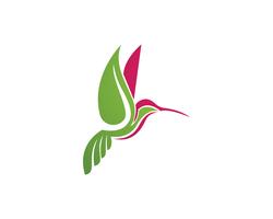 Hummingbird Logo y símbolos iconsTemplate aplicación vector