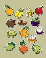 Conjunto de vector de fruta en el fondo blanco