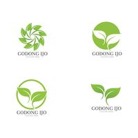 Logos de ecología de hoja verde. vector