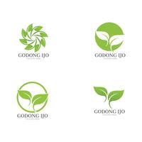 Logos of green leaf ecology vector