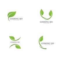 Logos of green leaf ecology vector
