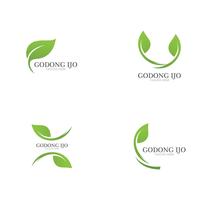 Logos de ecología de hoja verde. vector