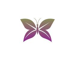 Beauty Butterfly icon design vector