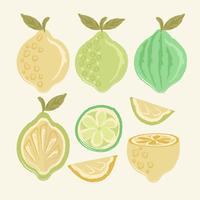 Vector dibujado a mano limones